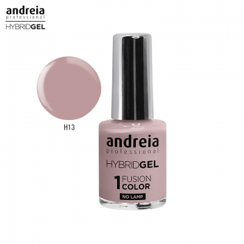 Hybrid Gel Andreia H13