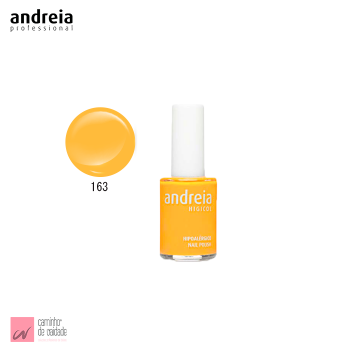 Verniz Andreia 163 14 ml